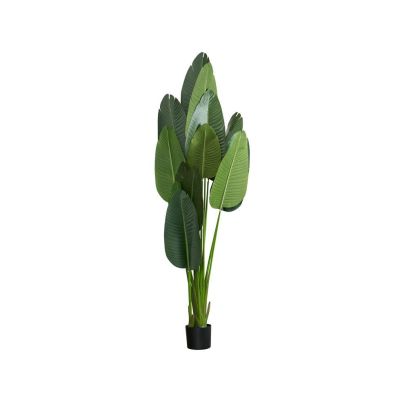 Image of Artificial Plant: Palm Tree 6'